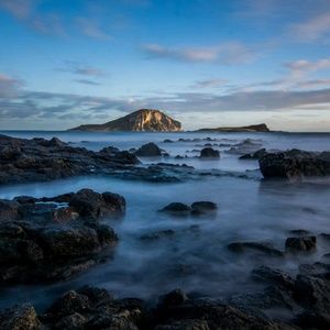 Meet your Posher, Aileen